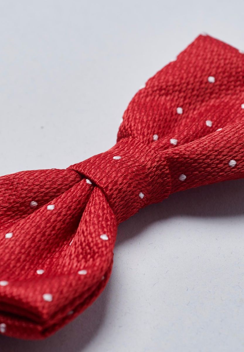 Papillon rosso fantasia pois grigi