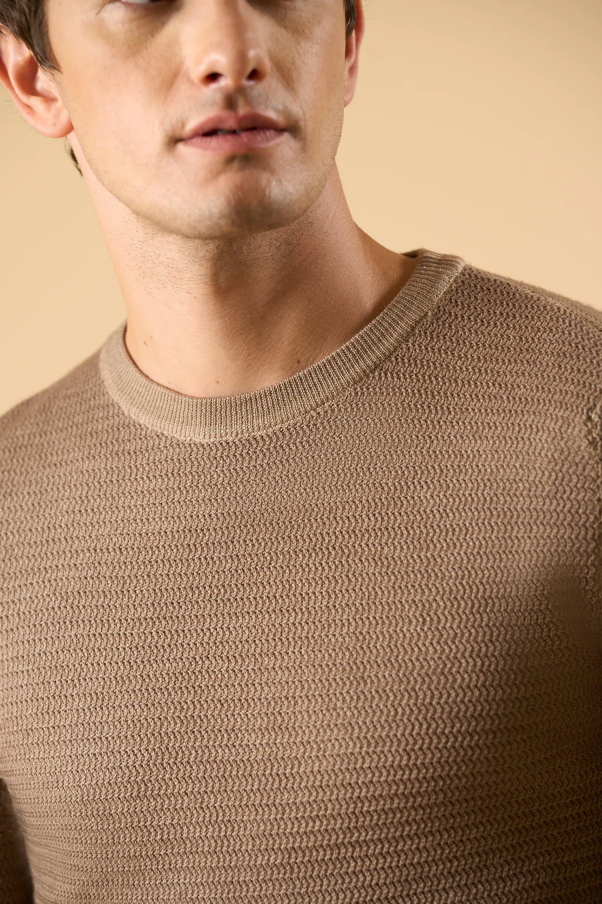 Beiger Rollkragenpullover aus Merinowolle mit Textur Angelico 1