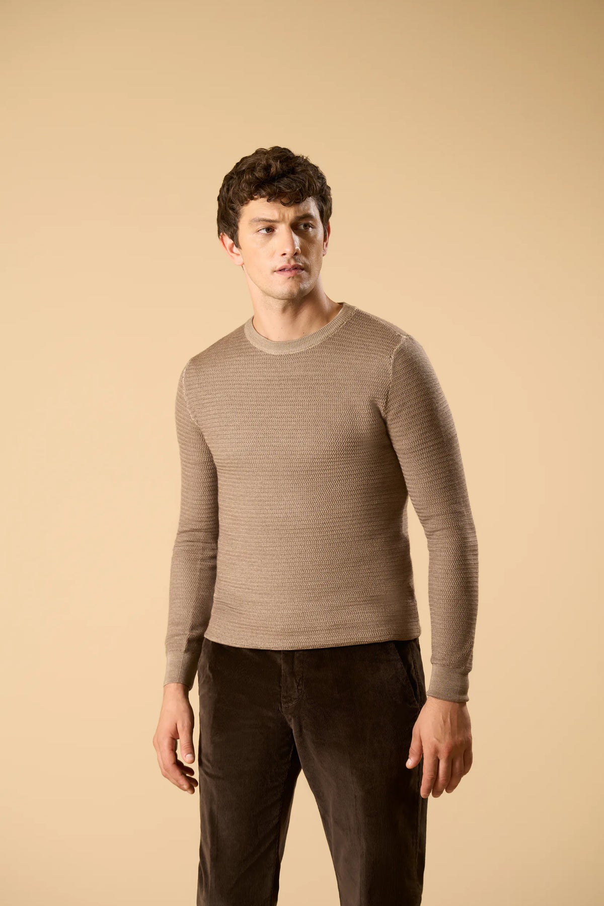 Beiger Rollkragenpullover aus Merinowolle mit Textur Angelico 2
