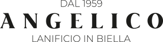 Angelico IT